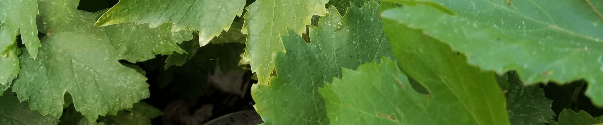 image01